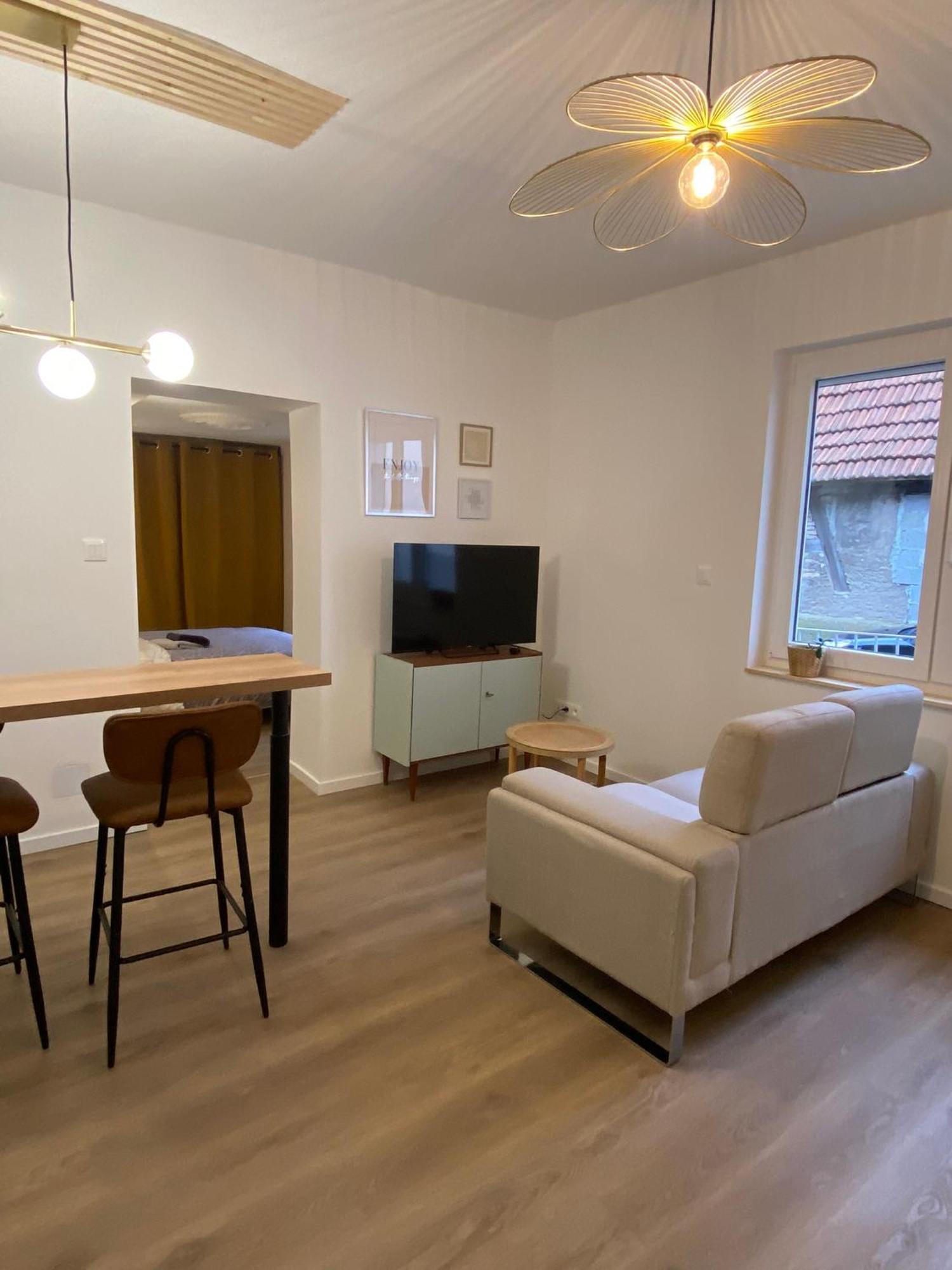 Appartement Cosy Soufflenheim Luaran gambar
